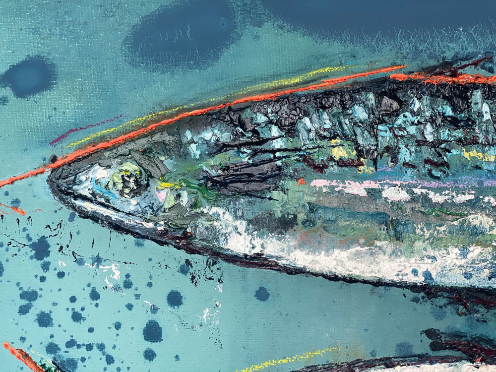 Atlantic Mackerel - Detail 2